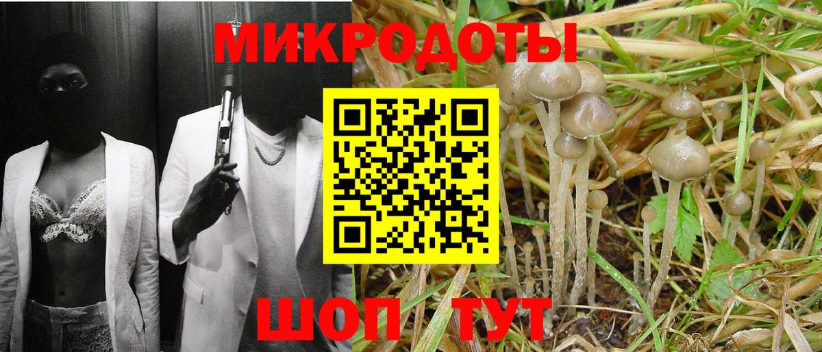 Псилоцибиновые грибы Magic Shrooms Чехов