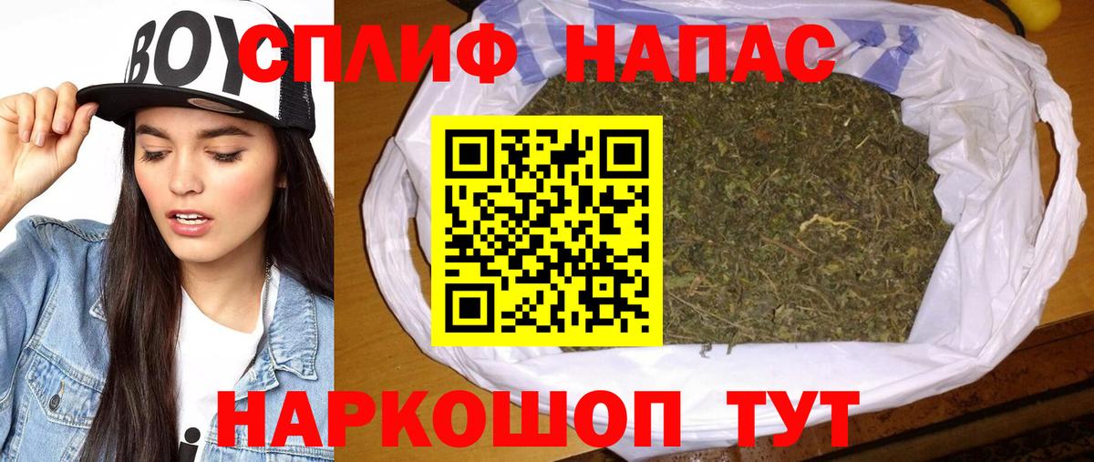 Шишки марихуана семена Чехов
